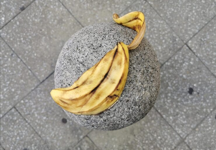 Banana Peel Manure Results